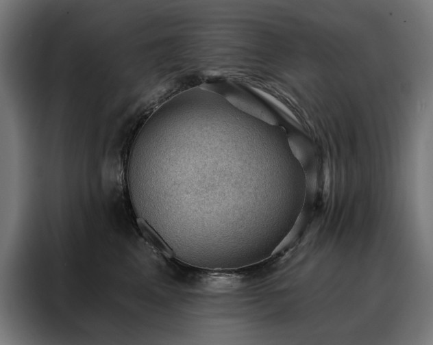 X0000088160617200705221602