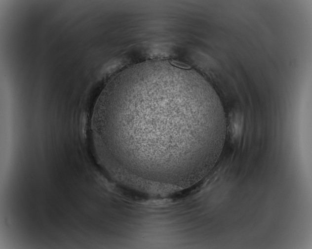 X0000088160619200705221602
