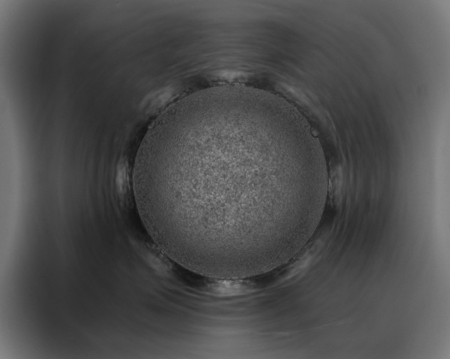 X0000088160623200705221602