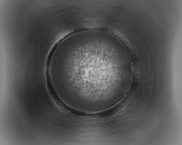 X0000088160626200705221601