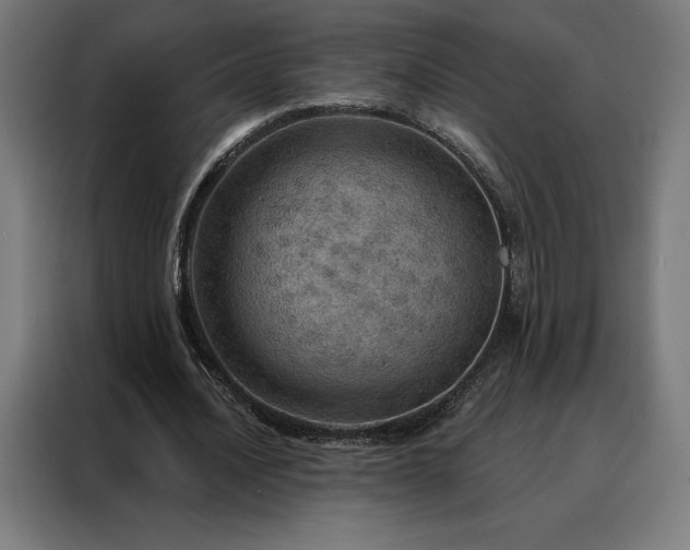 X0000088160628200705221601