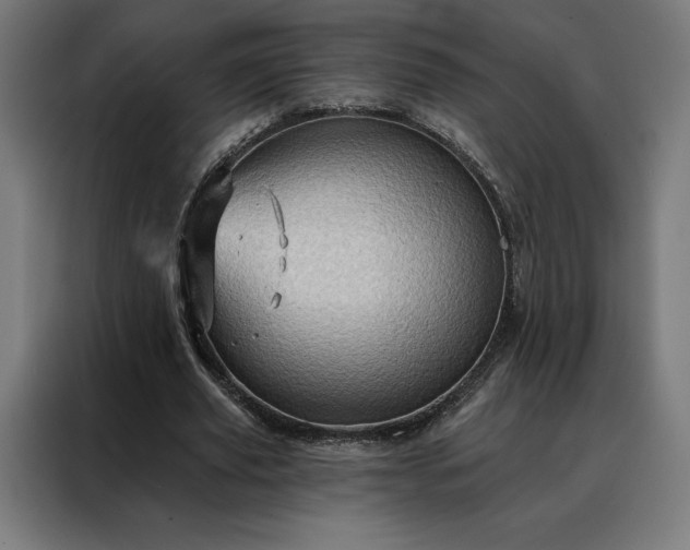X0000088160629200705221601