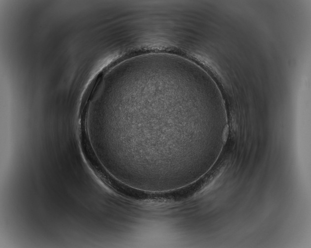 X0000088160630200705221601