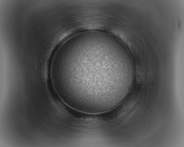 X0000088160631200705221601