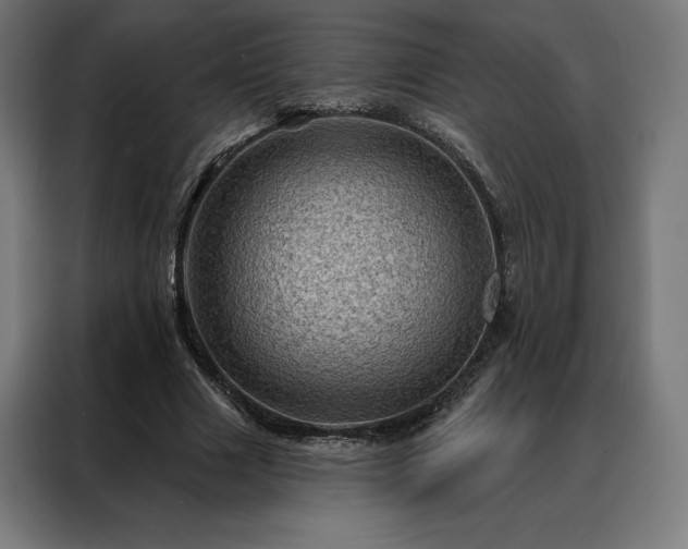 X0000088160633200705221601