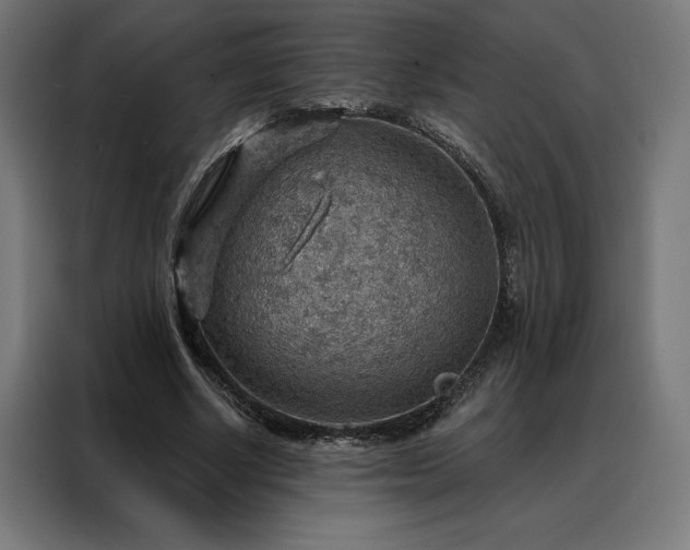 X0000088160634200705221601