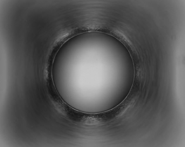 X0000088160635200705221601