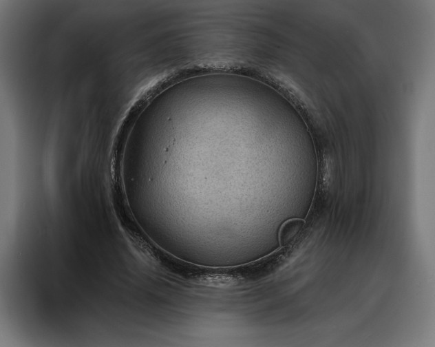 X0000088160636200705221601