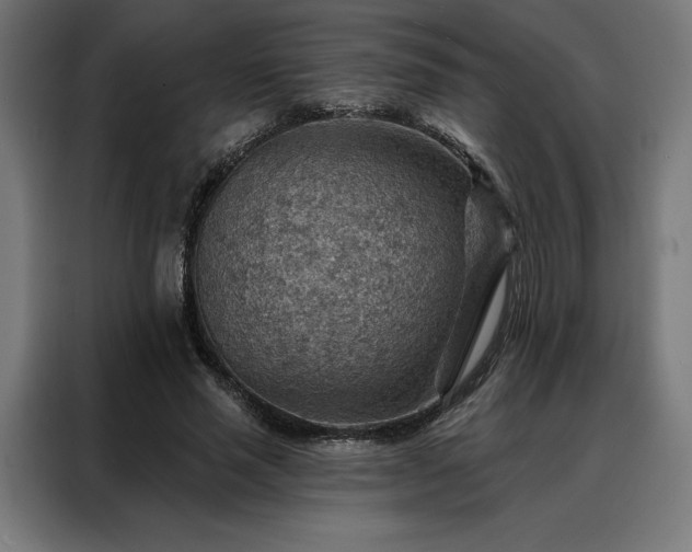 X0000088160637200705221601