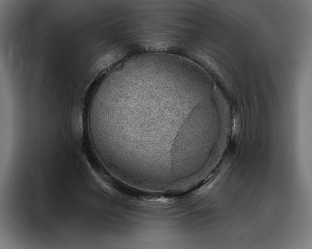 X0000088160638200705221601