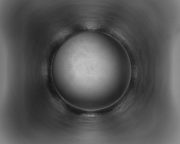 X0000088160639200705221601