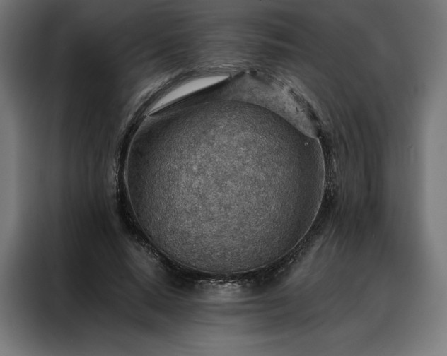 X0000088160640200705221601