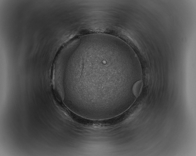 X0000088160641200705221601