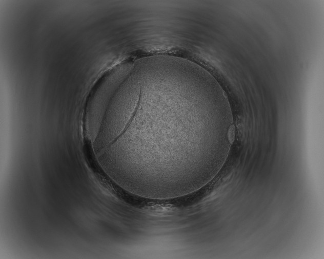 X0000088160642200705221601