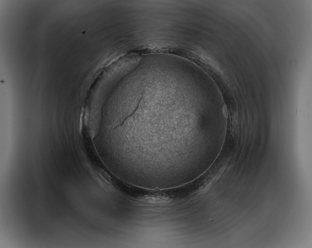 X0000088160644200705221601