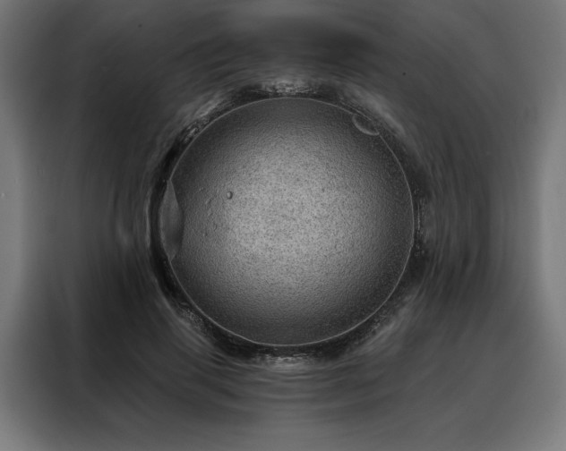 X0000088160645200705221601