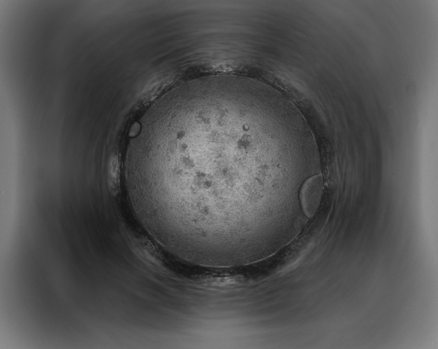 X0000088160646200705221601