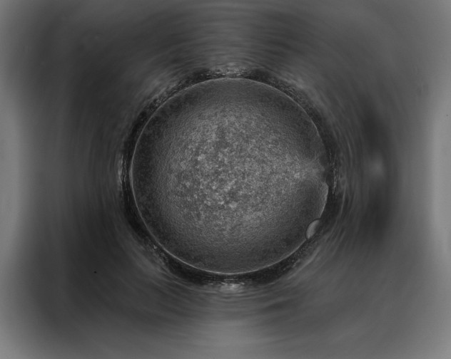 X0000088160647200705221601