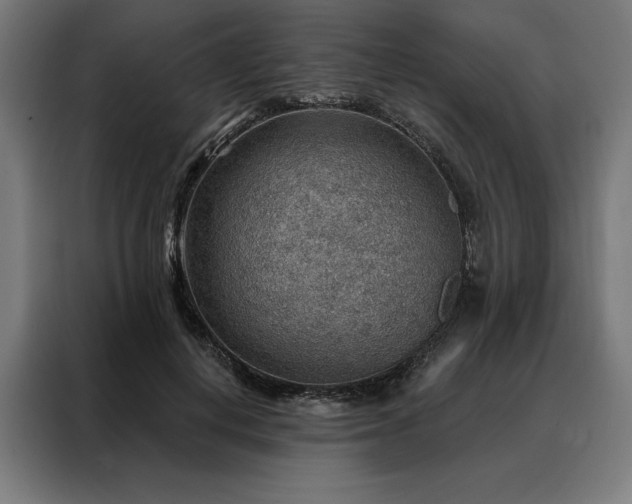 X0000088160648200705221601