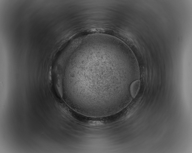 X0000088160649200705221601