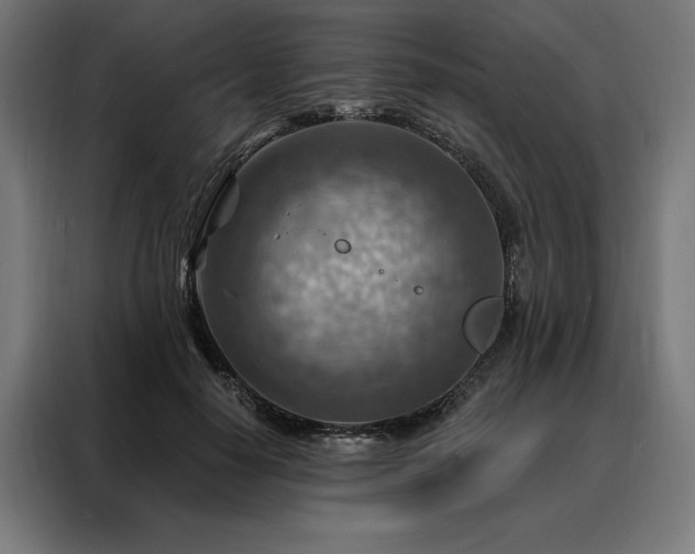 X0000088160650200705221601