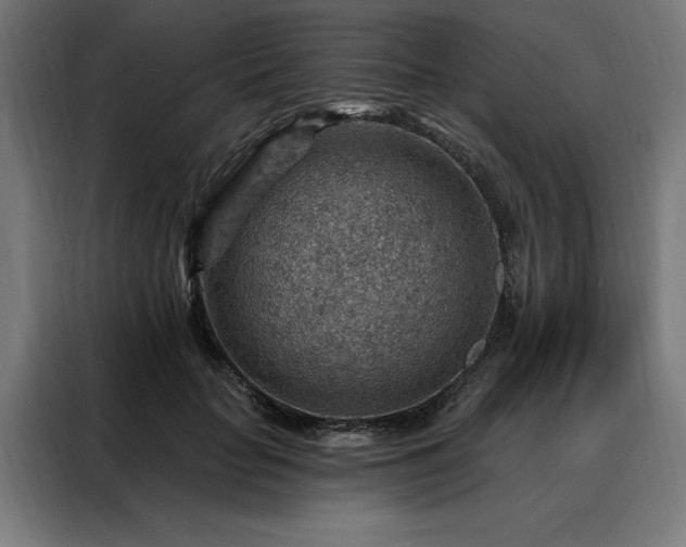 X0000088160653200705221602