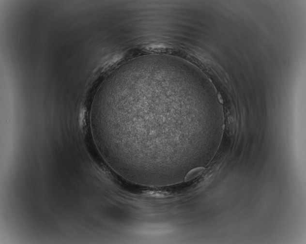 X0000088160654200705221602