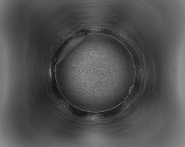 X0000088160655200705221602