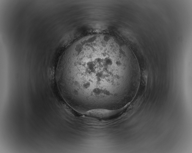 X0000088160657200705221602