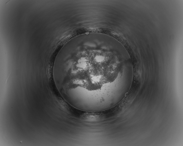 X0000088160658200705221602