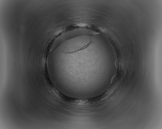 X0000088160660200705221602