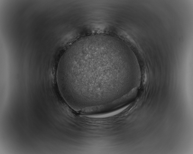 X0000088160661200705221602