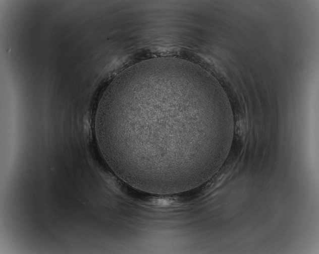 X0000088160662200705221602