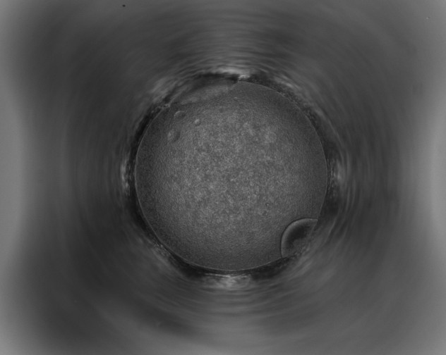 X0000088160663200705221602
