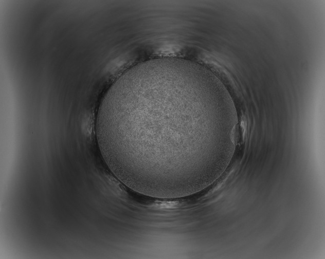 X0000088160665200705221602