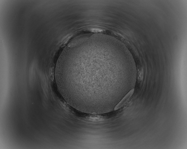 X0000088160666200705221602