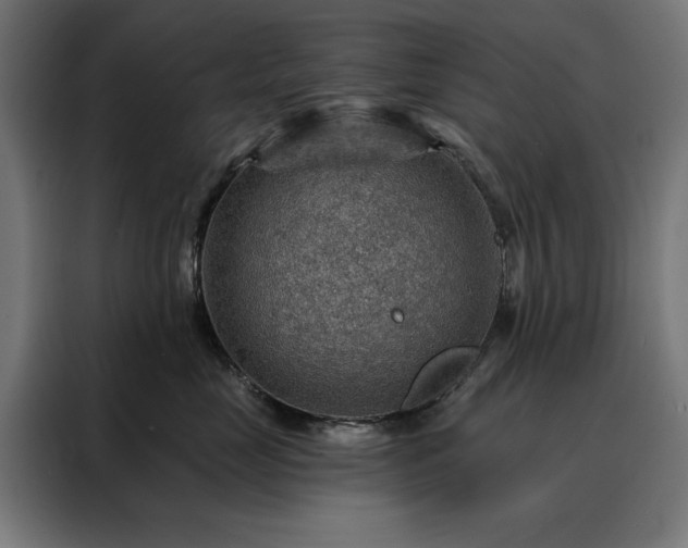 X0000088160669200705221602