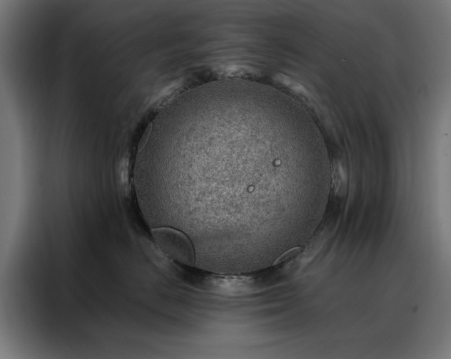 X0000088160670200705221602