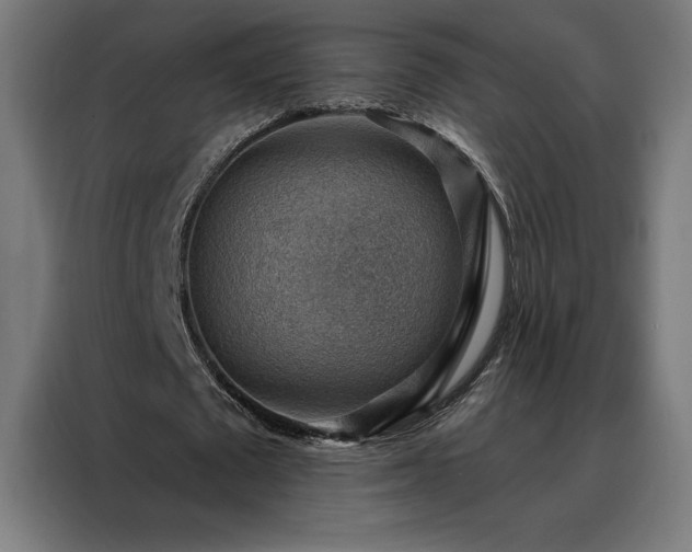 X0000088160673200705221601