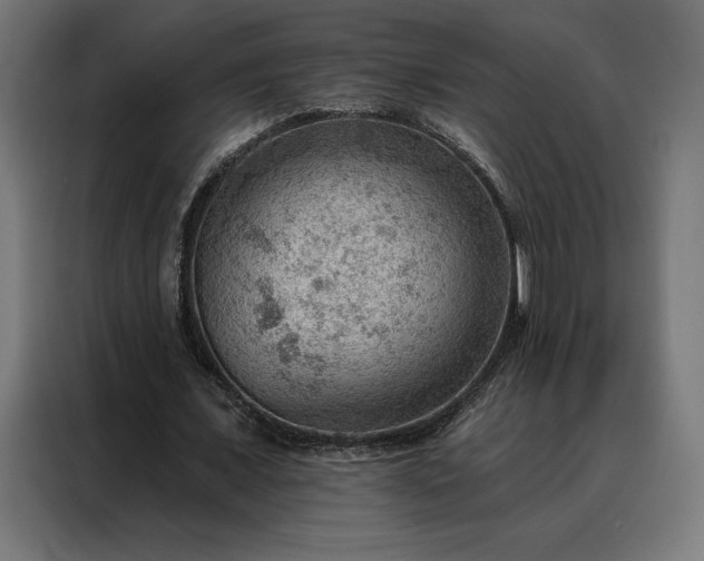 X0000088160675200705221601