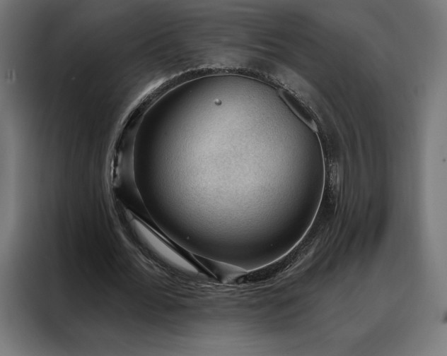 X0000088160676200705221601