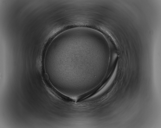 X0000088160677200705221601