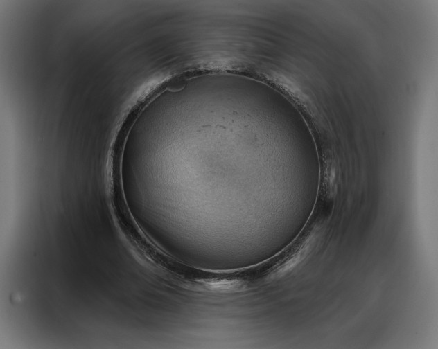 X0000088160678200705221601