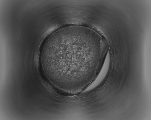 X0000088160679200705221601