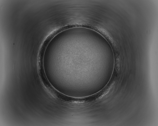 X0000088160680200705221601