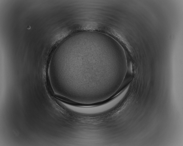 X0000088160681200705221601