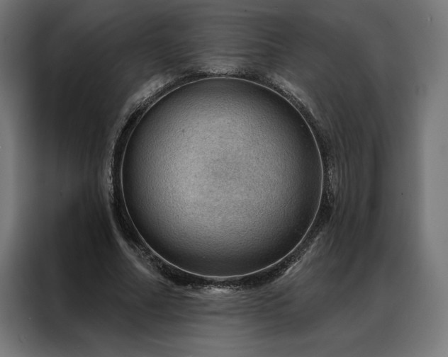 X0000088160682200705221601
