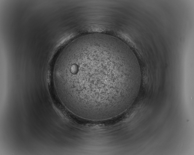 X0000088160683200705221601