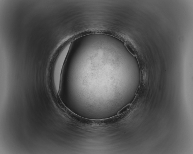 X0000088160684200705221601