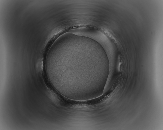 X0000088160685200705221601